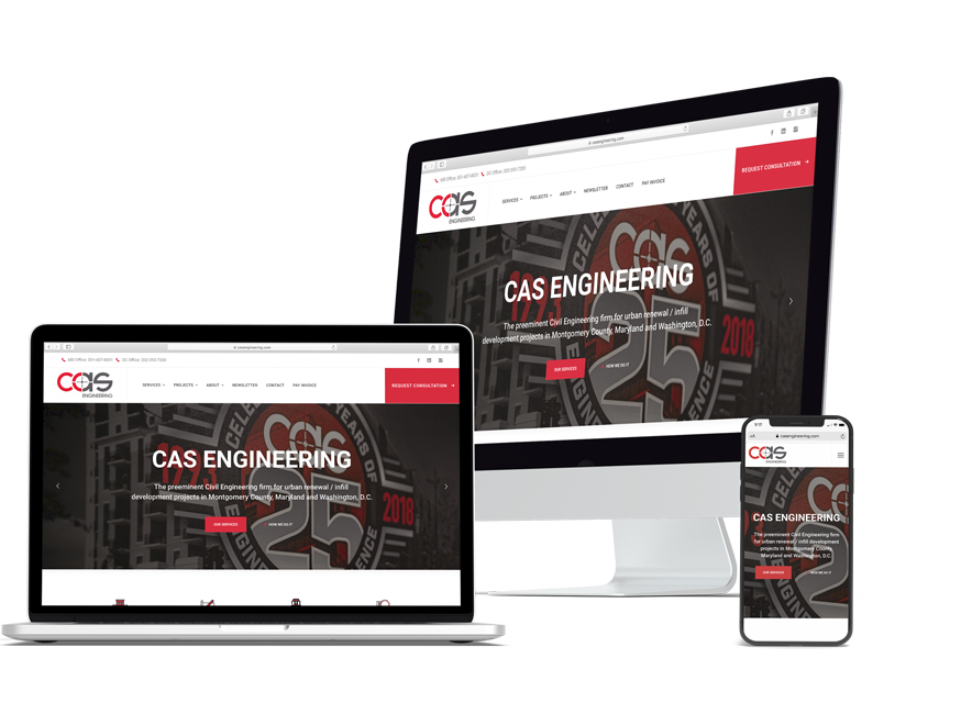 cas_casestudy_slide03